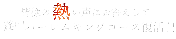 贅とエロスを極めた至極の時間男の浪漫！ハーレムキングコース