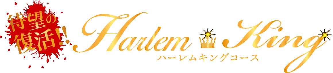 解禁！！ハーレムキングコース